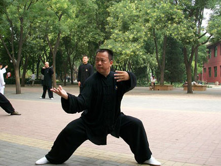 Chinese Kungfu 2